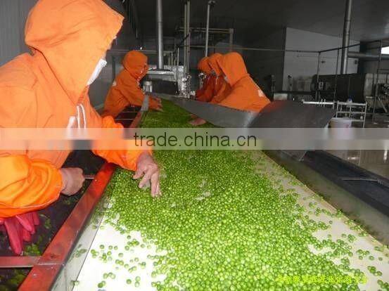 Frozen Products Peas Green One