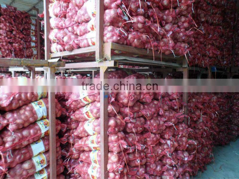 red onion/round onion