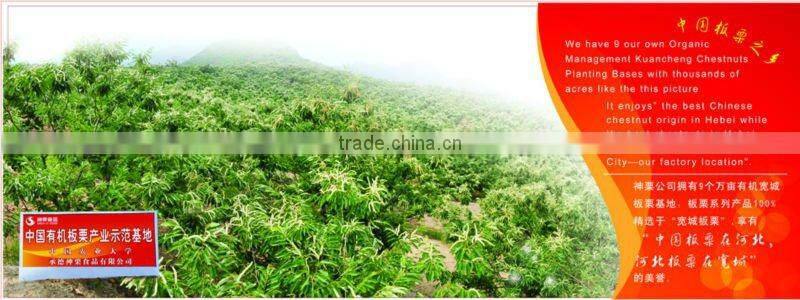 ROASTED RINGENT CHESTNUTS SNACKS Healthy Nuts Snacks For Sale