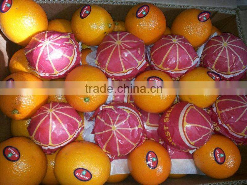 weight of Navel and Valencia Orange from Egypt in 18 kg cartons
