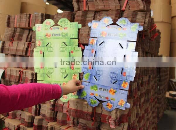 carton box, paper box carton for fruit, carton