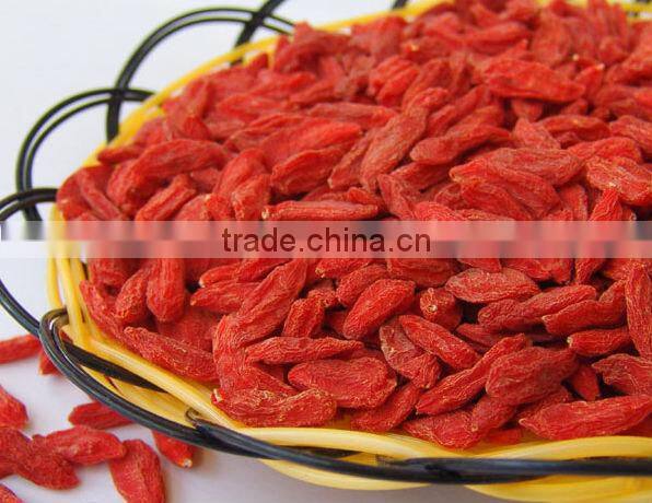 GMP manufacturer supply high quality Ningxia wolfberry100%