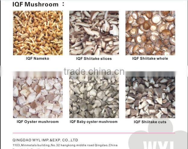 high quality frozen Shiitake mushroom