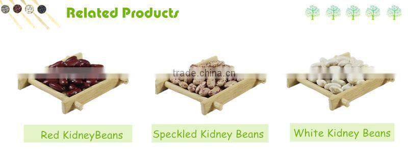 100% Natural Sunflower Seeds High Quality 1121