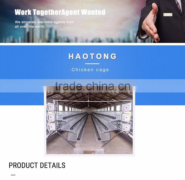 30 Years' factory supply automatic chicken broiler cages