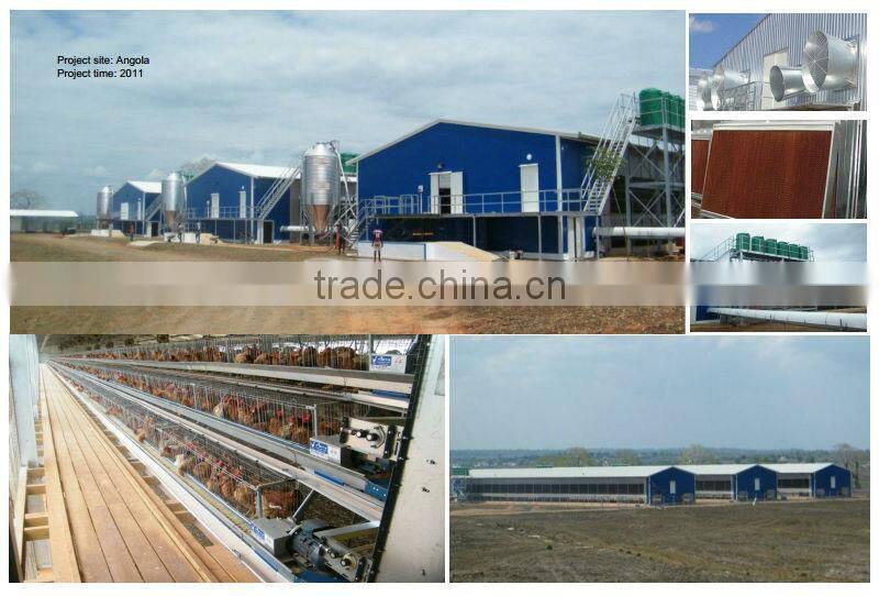 Poultry farm house chicken structure