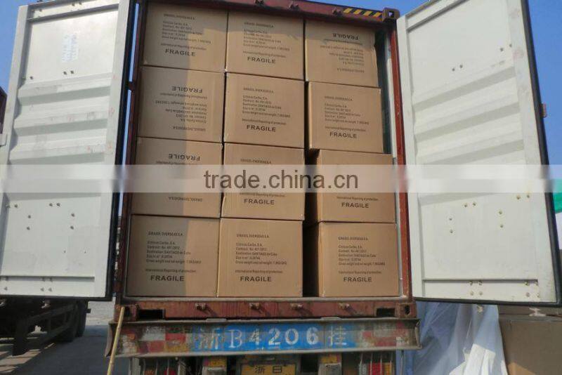 CHILDRENS KIDS SMALL GARDEN PLANTS WATERING CAN WITH ROSE