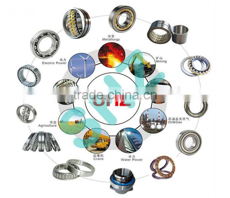 Stainless self-aligning ball bearing 1310