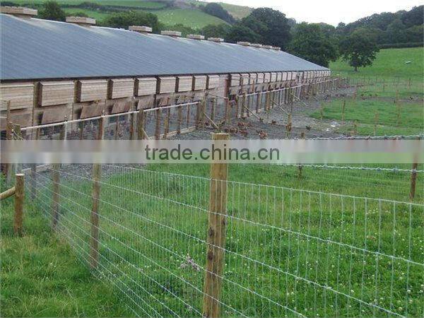 Galvanized cattle fence / Grassland fence