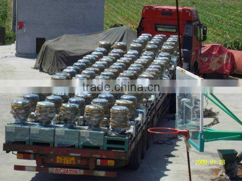 Home use animal feed pelletizer machine