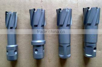 Bridge T.C.T Hollow drill bit for sale