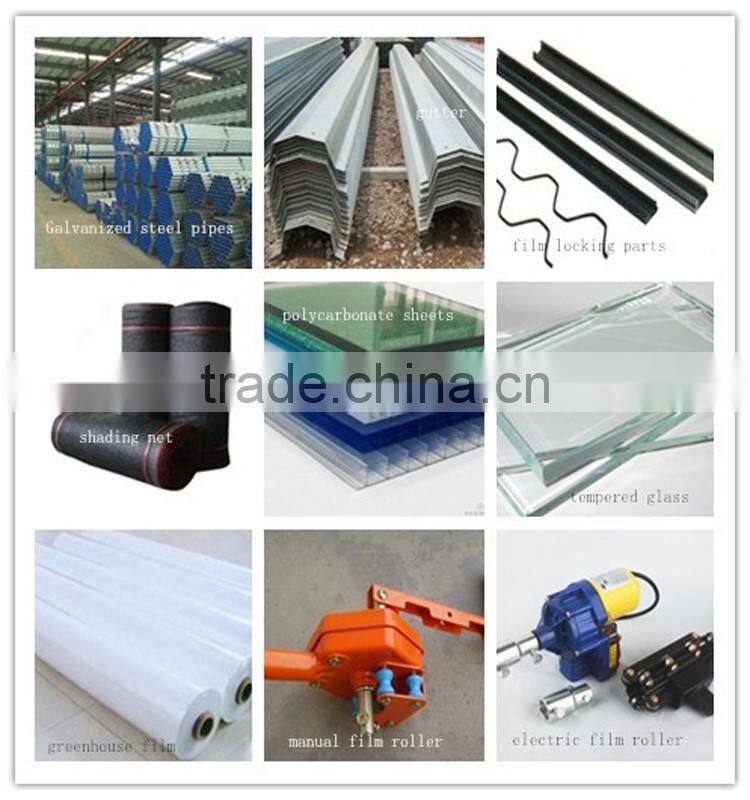 Different Models of Venlo glass multi-tunnel green house With Good After-sale Service