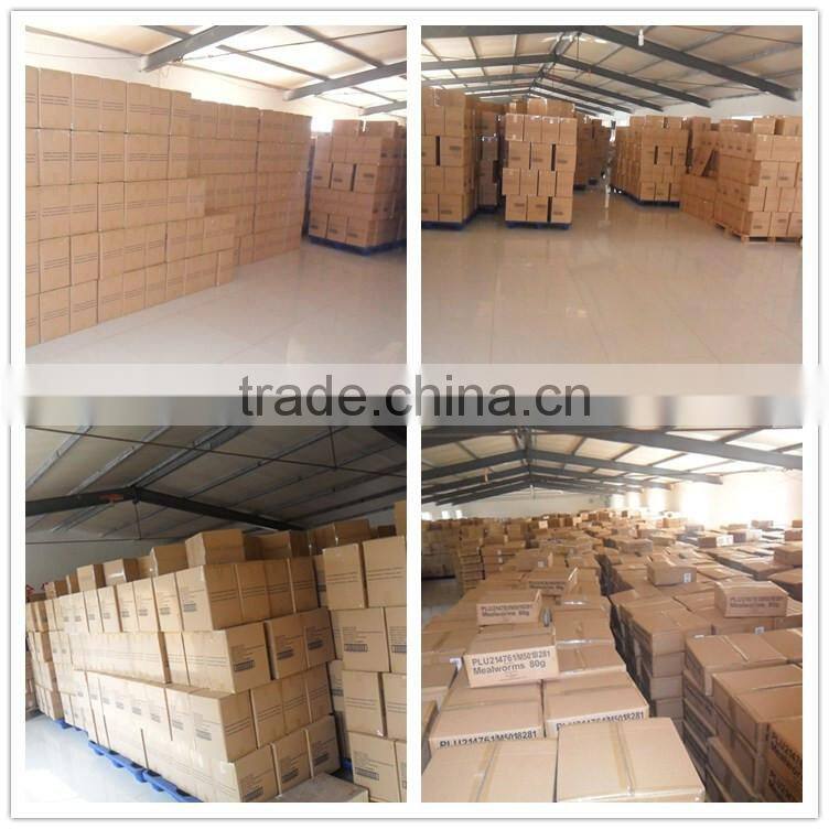 animal feed and pet food dried mealworms