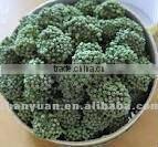 Dried Sanchi flower, herbal drinks