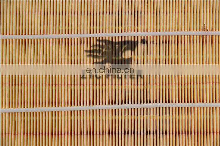 16546-EB300 araba hava filtresi/otomatik filtre/hava filtresi for new Transit car