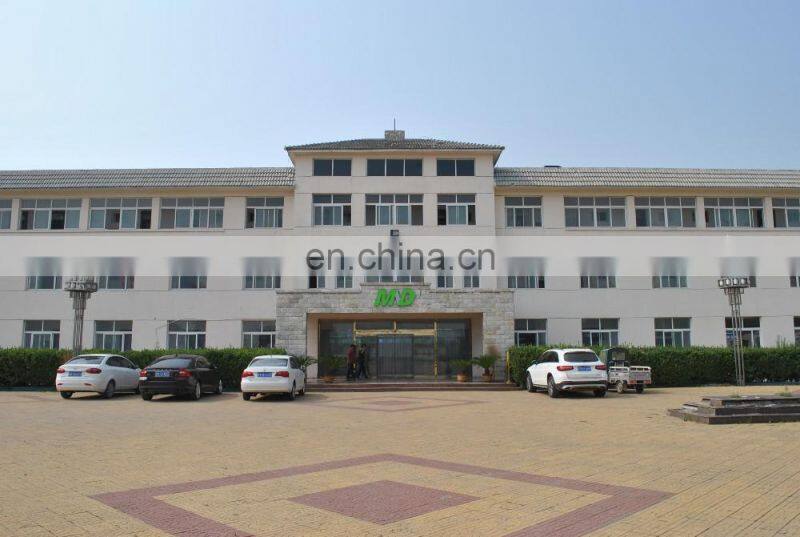 Exercise Gym Plate Gym Club 2021 Hot Sale Body Building Gym Training Seated Horizontal Pulley Italy Design Low Row