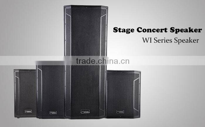 Professional Stage Audio 12" Speaker WI12