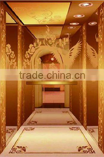 Passenger Elevator elevator passenger