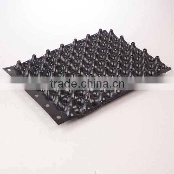 Plastic accused of root vessel