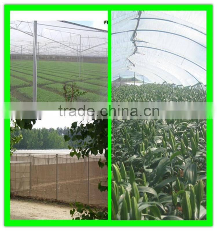 Suntex virgin HDPE anti-insect mesh netting for cultivation of flowers