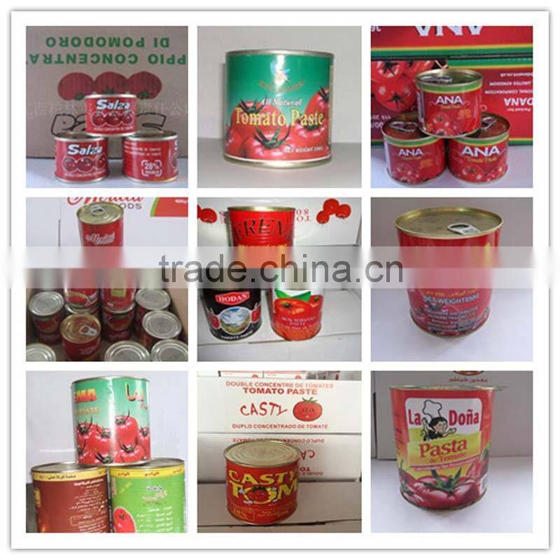 Canned Tomato Paste 210gram