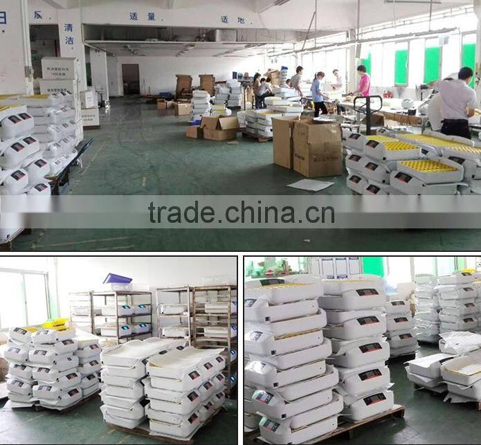 Plastic quail tray quail egg packaging quail egg cartons for sale