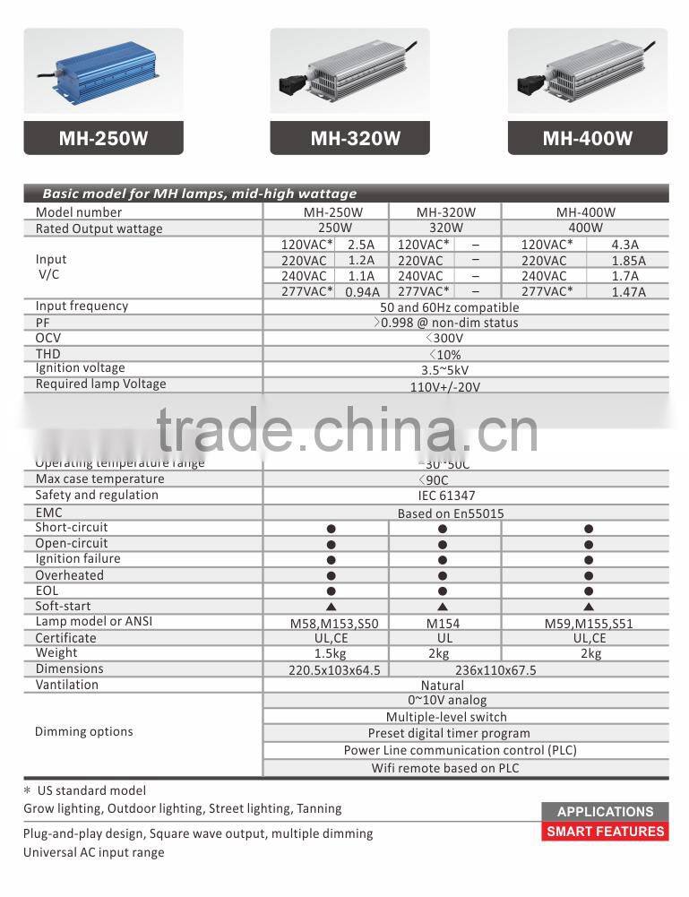 Digital Ballast (MH-250W-LNN)