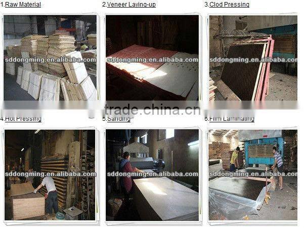 18mm Concrete Casting Plywood/Construction Plywood