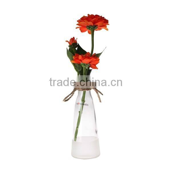 2016 hot selling different size colored clear glass vases flower for home decoration