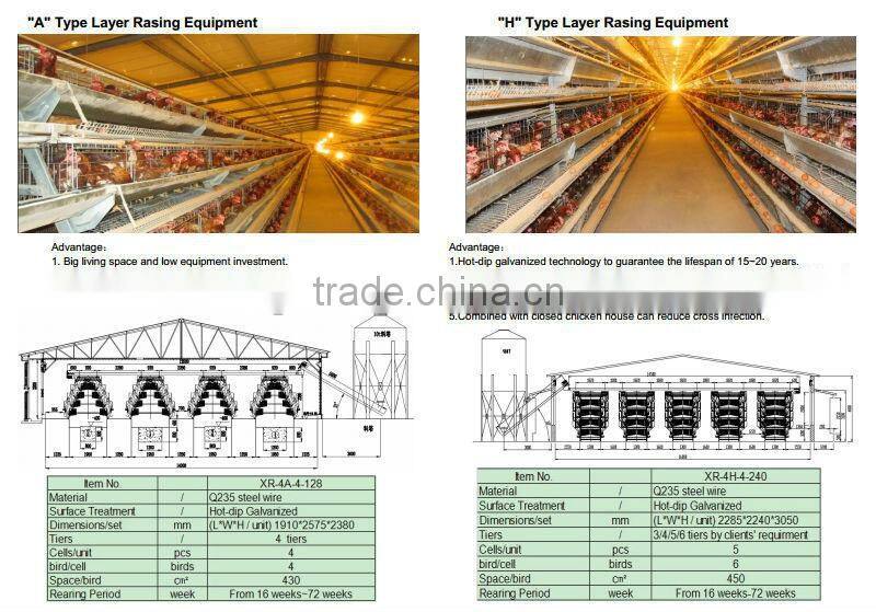 Hot Selling H Type Automatic Poultry Farm Layer Cage In Algeria