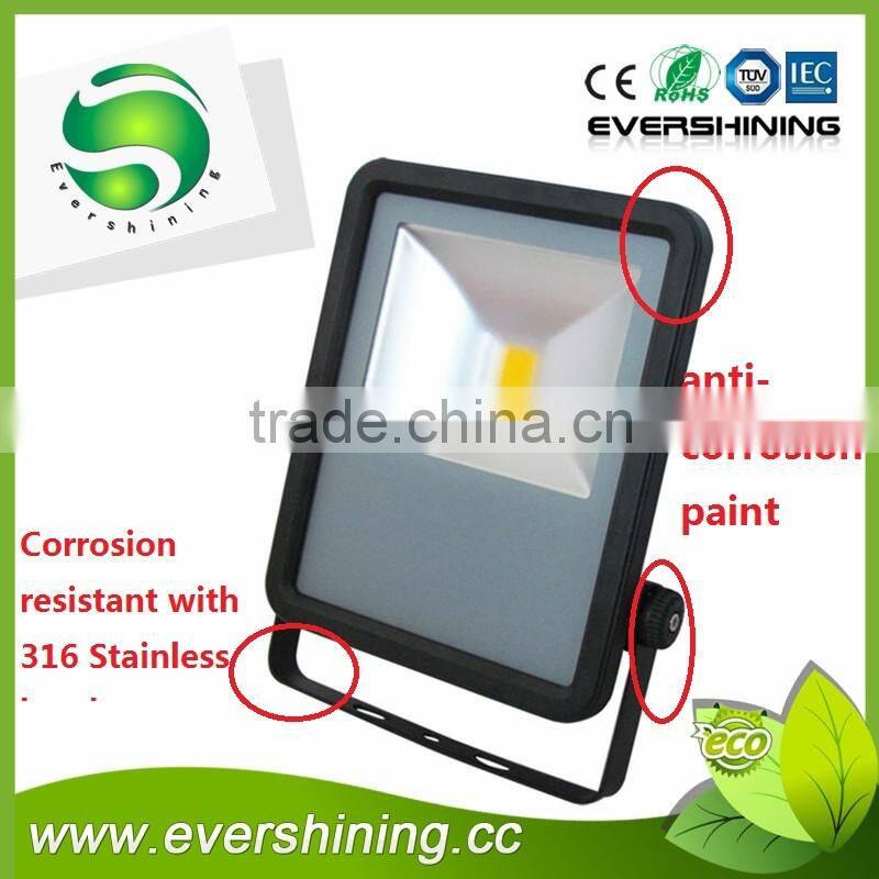 High Lumen Meanwell Driver waterproof 50w sea boat led floodlight