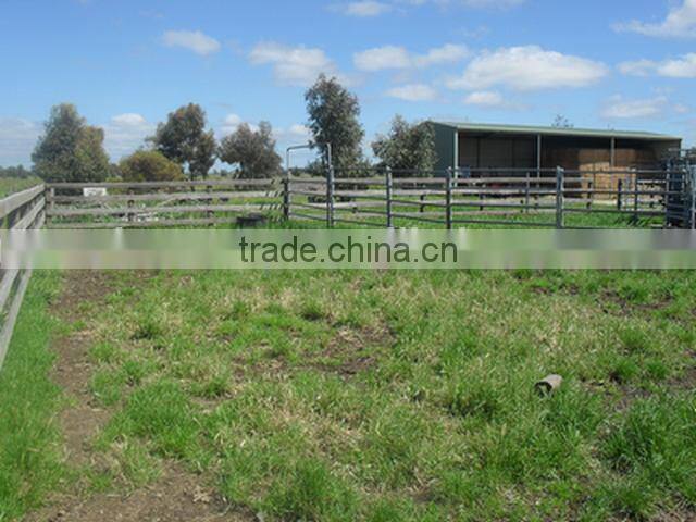 China high quality cattle panels / Cattle yards / livestock corral panel/hot sale