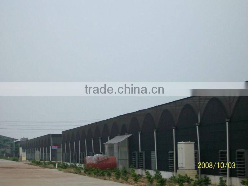 plastic film greenhouse Polyethylene film multi span agriculture greenhouse