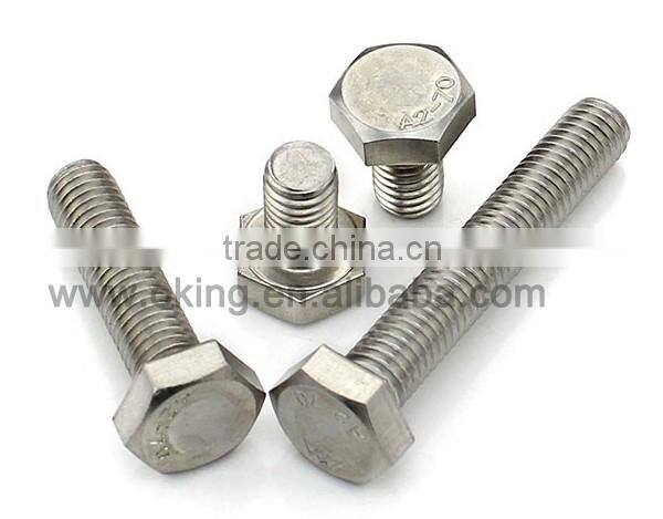 Staniless steel hex bolt m60 support OEM