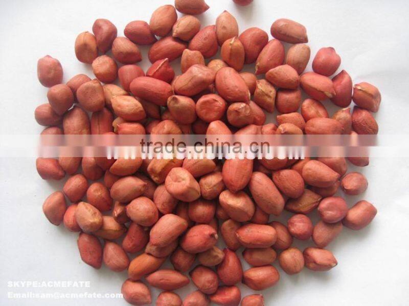 Chinese long type peanut kernels