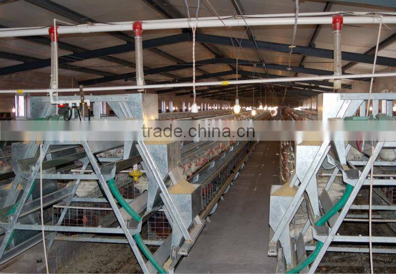 A-type Cage Chicken Manure Scraper Machine