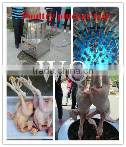 WQ-60 automatic chicken plucker used poultry plucker for sale