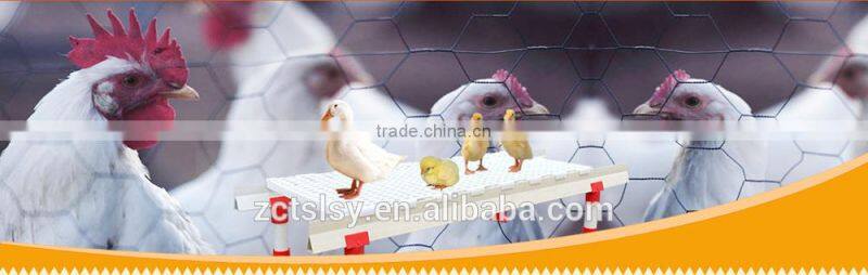 Colorful plastic egg tray for egg storage