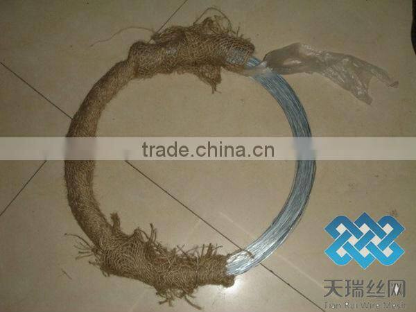 electro galvanized soft iron wire/Hot dipped galvanized iron wire