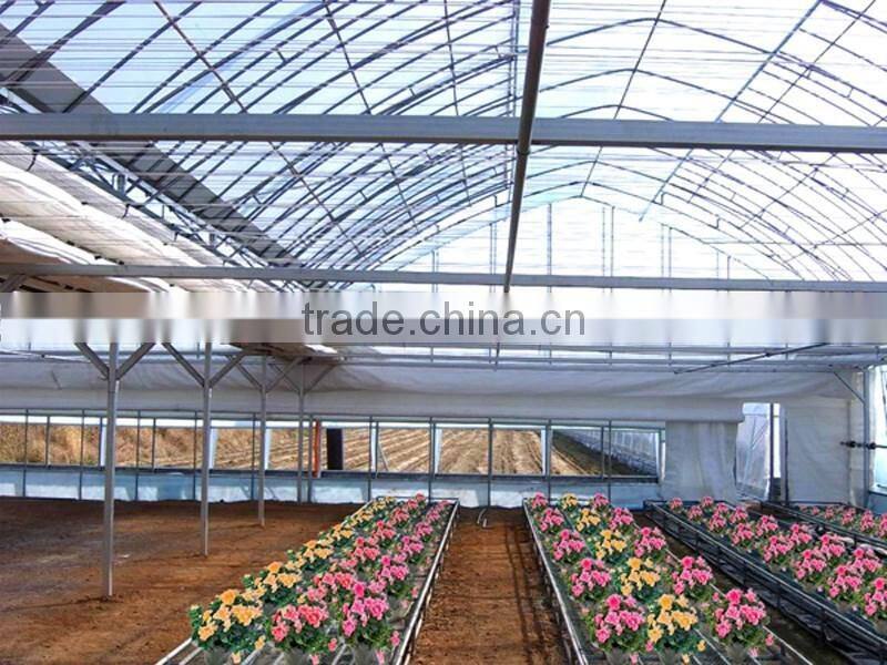 Constant temperature water glass greenhouse