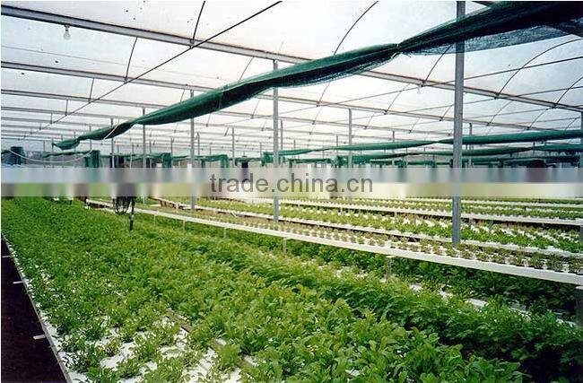 hydroponic used for styrofoam greenhouse