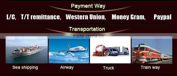 Rechargeable floating hanging led plastic ball light