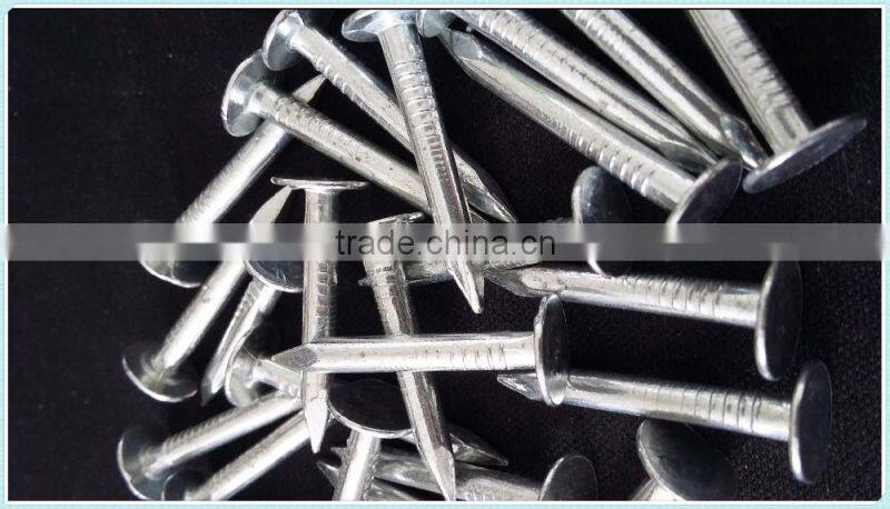 coil roofing,factory direct sale nails