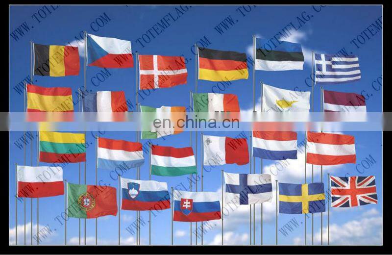 National Argentine Argentina Flag