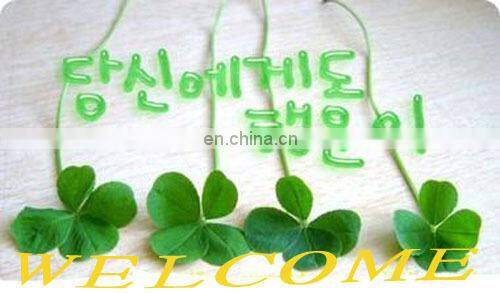 Specialized Custom unique Belt Buckles for sale