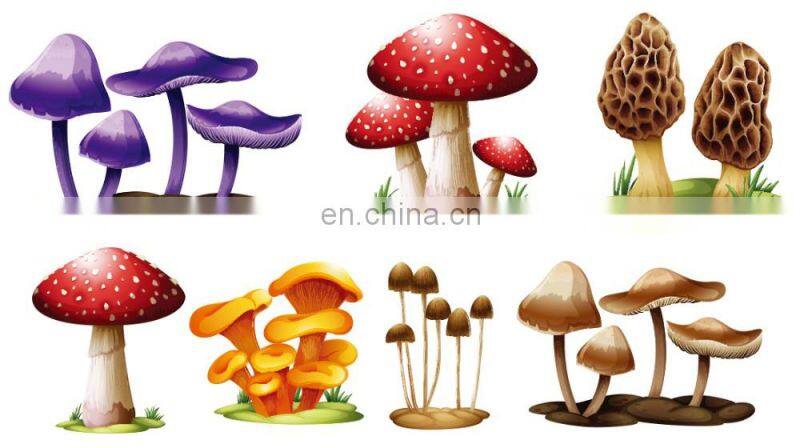 Custom removable home decor tree wall decals