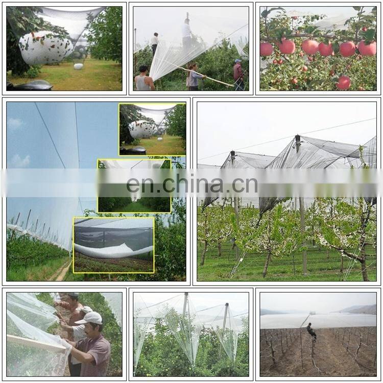 Outdoor hail protection net net against hail