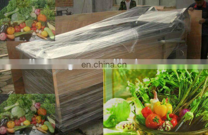 Most advanced and easy operate fully automatic Vegetable Washing Machine