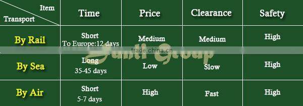 Lisaurus-0552 Imit buried dinosaur fossil in the rock