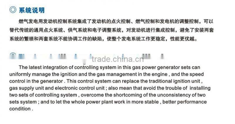 300KW Natural gas set